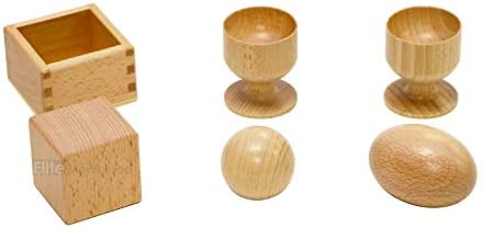 Elite Montessori 3D Object Fitting Exercise