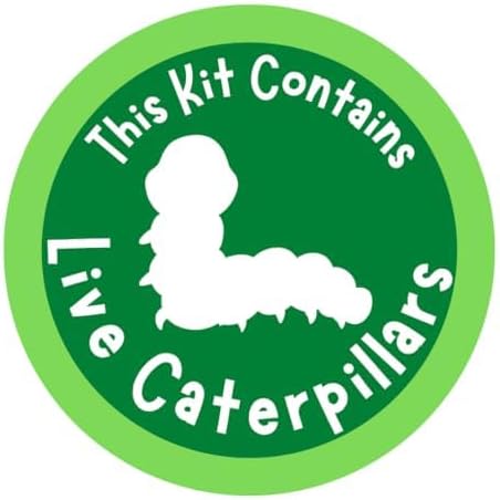 Insect Lore Butterfly Garden 8" Habitat Gift Set | 10 Live Baby Painted Lady Caterpillars | Includes Caterpillars, Food, 3D Butterfly Stickers and Butterfly Wind-up Toy