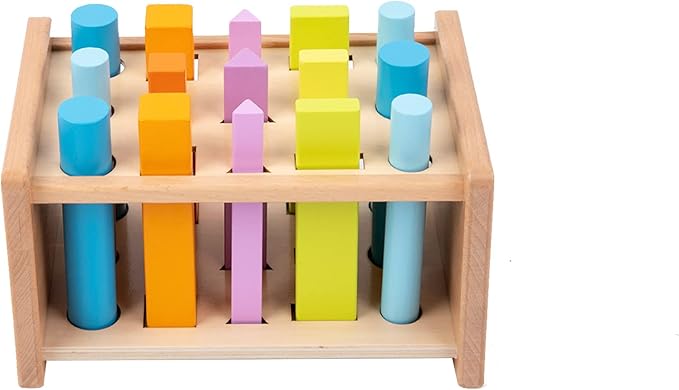 Montessori Toys for 1 2 3 Years Old Wooden 3D Shape Matching Toys,Wooden Posting Stand Montessori Color Sorting Sticks Game-Cognitive Shapes Colors,Educational Sensory Toy for Boys Girls Giftďź15 Pcsďź