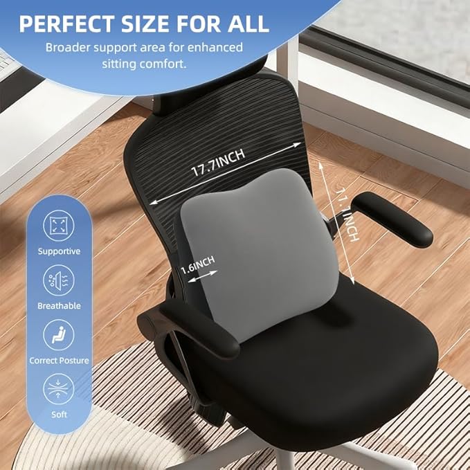 Lumbar Support Pillow for Office Chair, Memory Foam Lumbar Pillow for Lower Back Pain Relief - Black (xiaoyaokaoGrey)