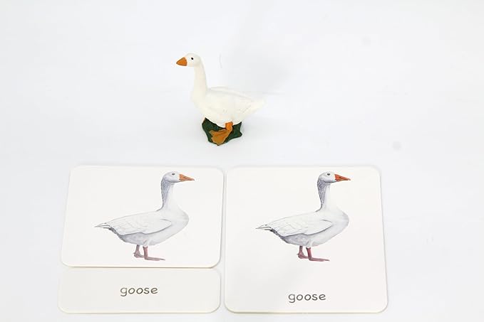 12pcs Farm Animal Replicas with Matching Montessori 3-Part Cards Language Learning Material