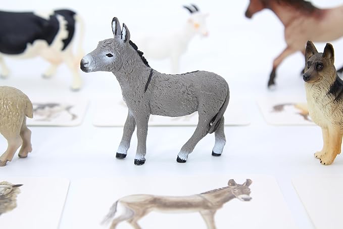 Montessori Language Materials Objects with Similar Cards 12pcs Mini Farm Animal Replicas with Matching Picture Cards Preschool Science Education Matching Game