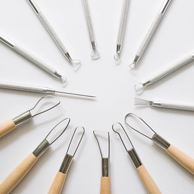 Artzuvs 14Pcs Ceramic Pottery Clay Ribbon Sculpting Tools Kit Wire Texture and Needle Detail Tool with Plastic Box for Carving, Modeling,Sculpture,Trimming