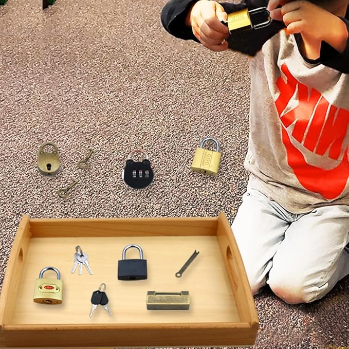 Montessori Lock and Key Toy Set for Toddlers, Montessori Elementary Materials Educational STEM Toy Matching Games Lock Set with Wooden Tray for 3 4 5 Year Old Kids