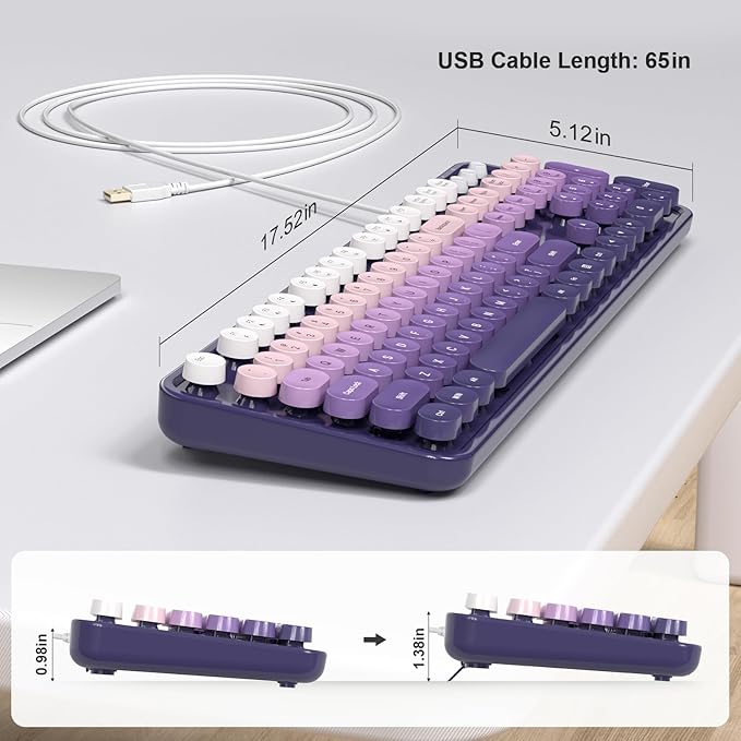 Computer Keyboard Wired, Plug Play USB Keyboard with Large Number Pad, Caps Indicators, Foldable Stands, Full Size Keyboard for Windows PC Laptop (Purple)
