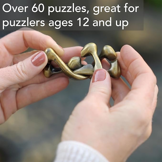 BePuzzled |Slider Hanayama Metal Brainteaser Puzzle Mensa Rated Level 3, for Ages 12 and Up