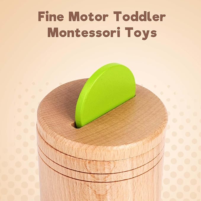 Richtim Wooden Montessori Toy for Toddlers 2-6 Years (One-Slot Color Sorting Toy)