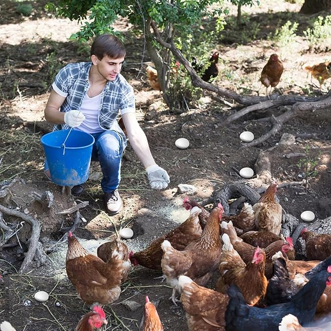 6pcs Wooden Fake Eggs, White Wooden Easter Eggs, DIY Kitchen Pretend Play Food Set,Children Kitchen Play Toys,Fake Chicken Eggs for Home Farm Decor