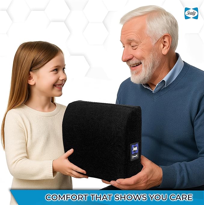 Sealy Lumbar Support Pillow for Office Chair and Car Seat - Memory Foam Lumbar Pillow & Back Brace Support Posture Corrector, Lower Back Pain Relief