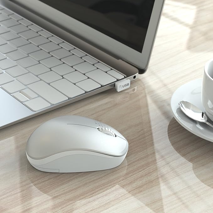 seenda Wireless Mouse, 2.4G Noiseless Mouse with USB Receiver Portable Computer Mice for PC, Tablet, Laptop and Windows/Mac/Linux (White & Silver)