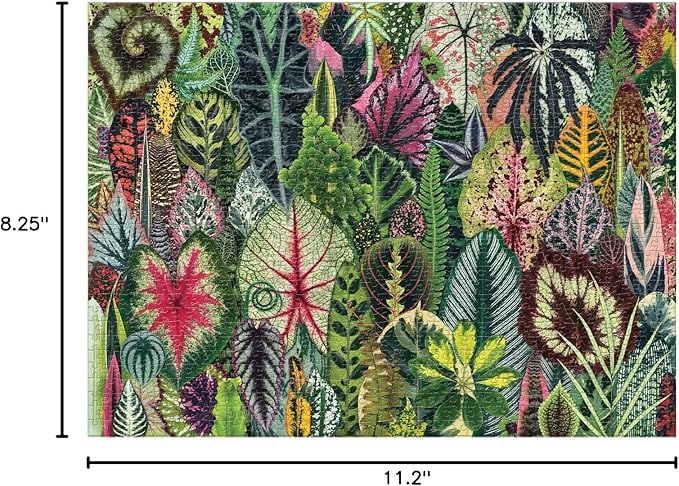 Galison Houseplant Jungle 1000 Piece Jigsaw Puzzle for Adults – Plant Jigsaw Puzzle with Mix of Succulents & Other Household Plants – Fun Indoor Activity, Multicolor
