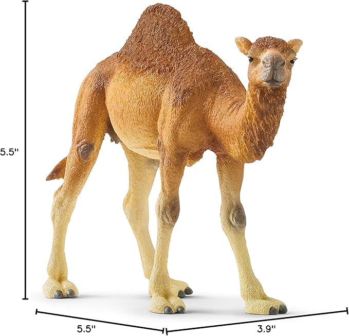 Schleich Wild Life Realistic Dromedary Camel Figurine - Authentic and Highly Detailed Wild Animal Toy, Durable for Education and Fun Play, Perfect for Boys and Girls, Ages 3+, Multicolor, 3.9 inch