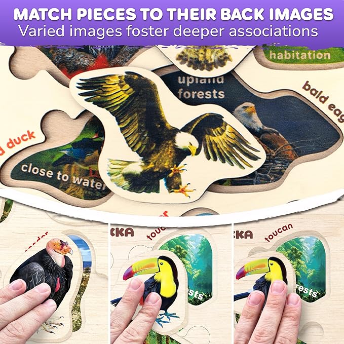 QUOKKA Wooden Puzzles for Toddlers 1-3 – 3xSET Kids Puzzles Ages 2-4 – Montessori Toy Puzzles for Toddlers 3-5 – Wood Toy Learning Realistic Insects - Arctic Animals - Birds for Boy and Girl