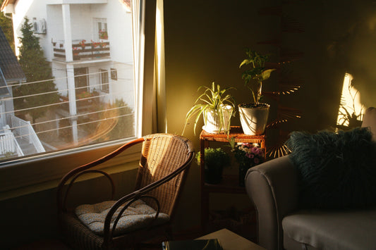 How Small Comfort Changes Improve Daily Life at Home