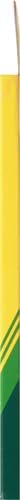 Crayola Colored Pencils, Assorted Colors, Pre-sharpened, Adult Coloring, 12 Count, Gift