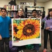 Huge Mosaic Puzzle Poster Kits | Group Project | No Mess Paint by Sticker | Stay at Home Activity | Classroom | One Sticker at a Time! | Large Butterfly | Learning Fun | 40” X 36” Giant Poster