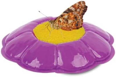 Insect Lore Butterfly Garden | Original 12" Habitat and Two Cups of Live Baby Caterpillars | Life Science & STEM Education Kit