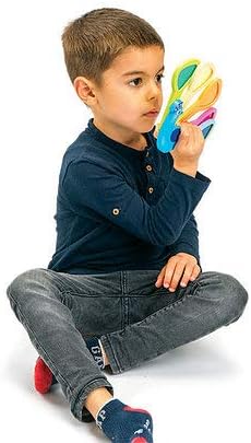 Tender Leaf Toys - Peacock Colors - Wooden Colors Learning Toys for Toddlers, Kids, Pre-School Children Activity Game - Gifts, Animal Toy - Early Learning, Play Set with Acrylic Window - Age 18M+