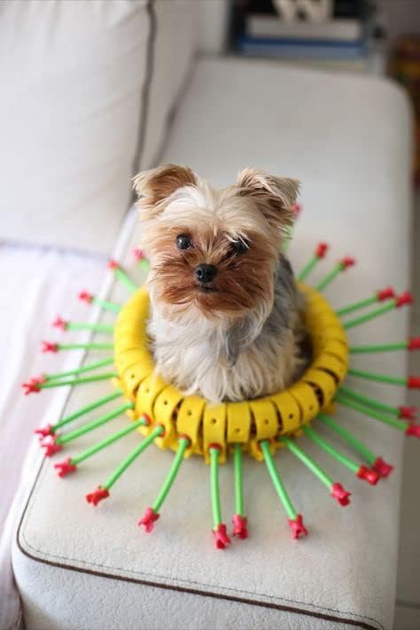 Open-Ended Educational Construction Arts and Crafts Building Toy Kit DIY Imaginative Recycling Toy-Making kit for Kids of All Ages Basic 32 Pcs Set