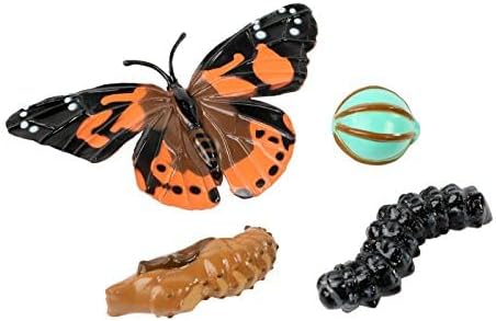 Insect Lore Two Cups of Live Caterpillars with Butterfly Life Cycle Figurines | Butterfly Habitat or Kit Refill | Painted Lady Butterflies