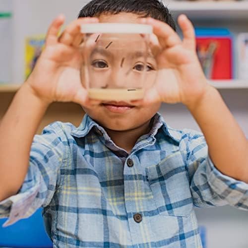 Insect Lore Two Cups of Live Caterpillars with Butterfly Life Cycle Figurines | Butterfly Habitat or Kit Refill | Painted Lady Butterflies