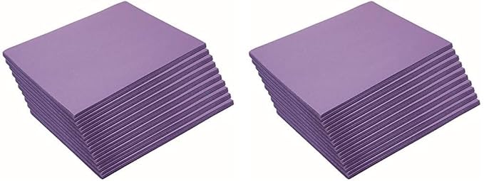 Colorations Construction Paper,Violet,9 inches x 12 inches,500 Sheets,Heavyweight Construction Paper,Crafts,Art,Kids Art,Painting,Coloring,Drawing,Creating,Paper,Art Project,All Purpose (Pack of 2)
