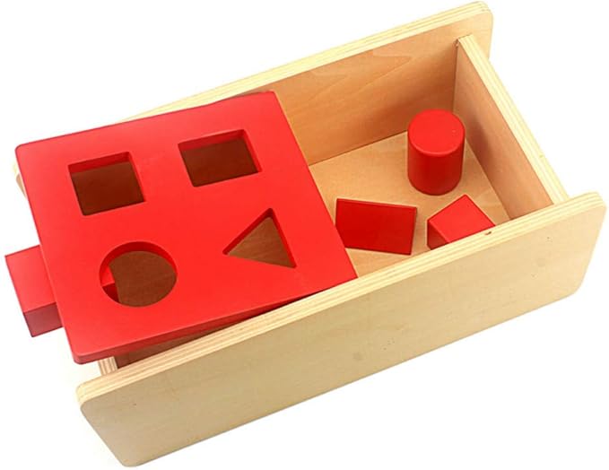 DANNI Montessori Baby Imbucare Box with Flip Lid 4 Shapes Wood Learning Educational Preschool Training Children Practical Life Skills Toy