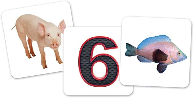 Learning Resources Vowel Owls Sorting Set, Word Recognition, Assorted Colors, Set of 6, Ages 5+