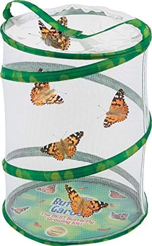 Insect Lore Butterfly Garden | Original 12" Habitat and Cup of Live Baby Caterpillars | Life Science & STEM Education Kit
