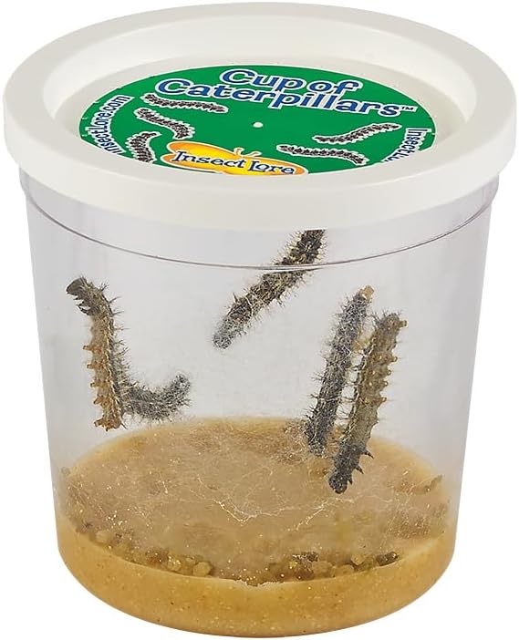 Insect Lore Butterfly Garden Kit, Painted Lady Butterfly Kit with Voucher for Live Caterpillars, Butterfly Habitat, STEM Journal & More