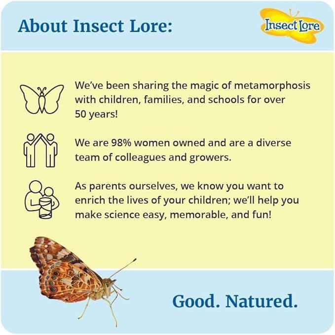 Insect Lore Two Cups of Live Caterpillars | Painted Lady Butterflies | Includes 2 Chrysalis Holding Logs | 10 Live Baby Caterpillars | Refill for Habitats and Kits