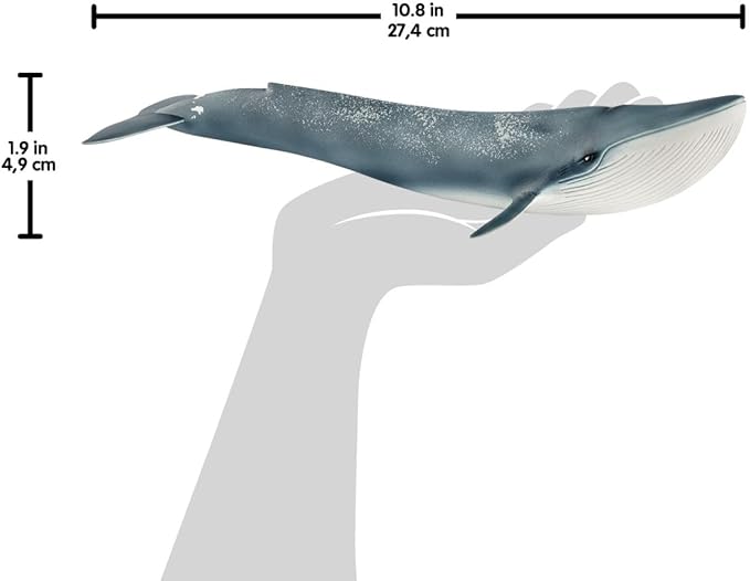 Schleich Wild Life Realistic Blue Whale Figurine - Authentic and Highly Detailed Aquatic Animal Toy, Durable for Education and Fun Play, Perfect for Boys and Girls, Ages 3+