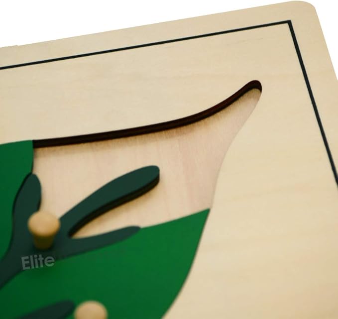 Elite Montessori Leaf Puzzles Toy for Preschool Early Child Development Learning Material