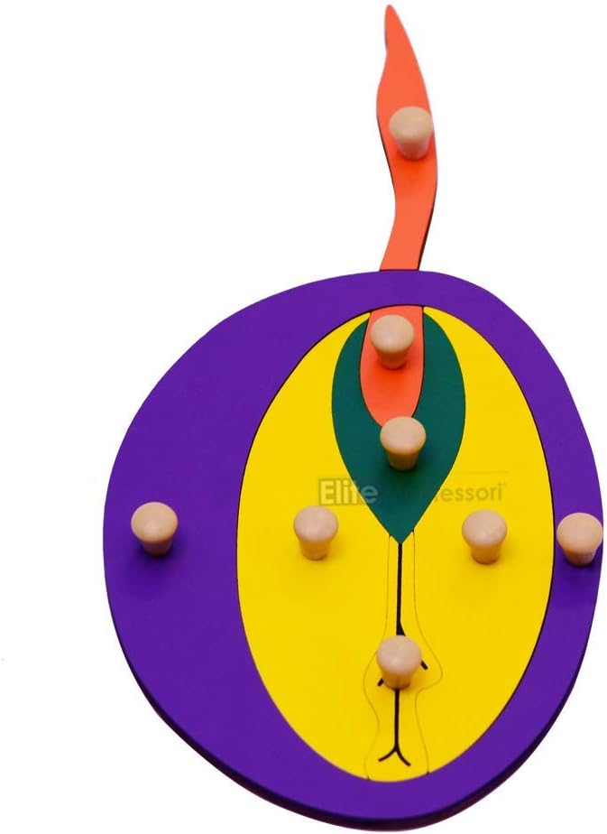 Elite Montessori Seed Puzzle