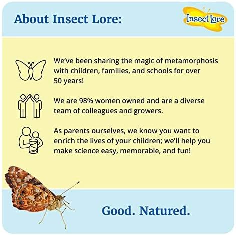 Insect Lore Cup of Caterpillars | 5 Live Caterpillars for Butterfly Garden | Refill for Painted Lady Butterfly Kit | Stickers & Chrysalis Log | STEM Learning Activity
