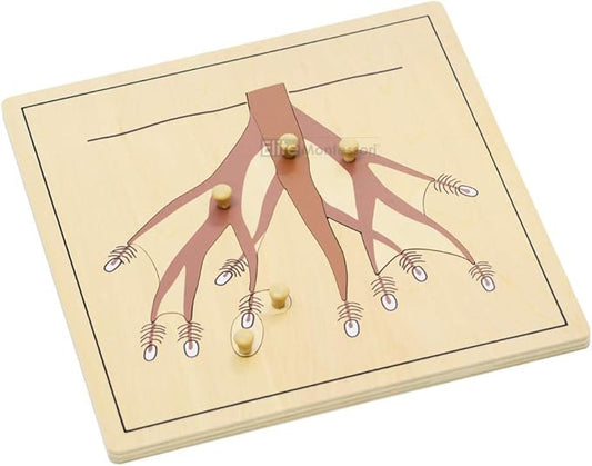 Elite Montessori Root Puzzle