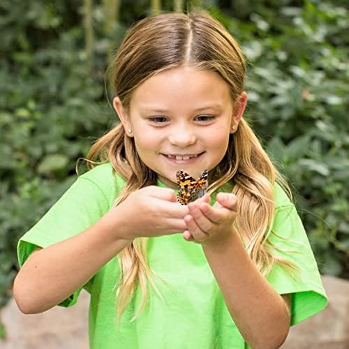 Insect Lore Giant Butterfly Garden with Voucher | 18 Inch Habitat | Life Cycle Figurines Included | Voucher to Redeem 5 Baby Caterpillars Later | Raise Painted Lady Butterflies