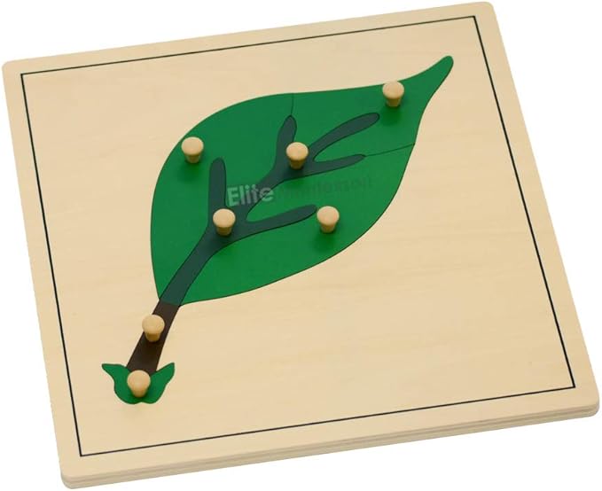 Elite Montessori Leaf Puzzles Toy for Preschool Early Child Development Learning Material