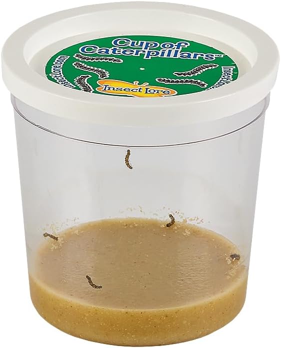 Insect Lore Butterfly Garden Kit, Painted Lady Butterfly Kit with Voucher for Live Caterpillars, Butterfly Habitat, STEM Journal & More