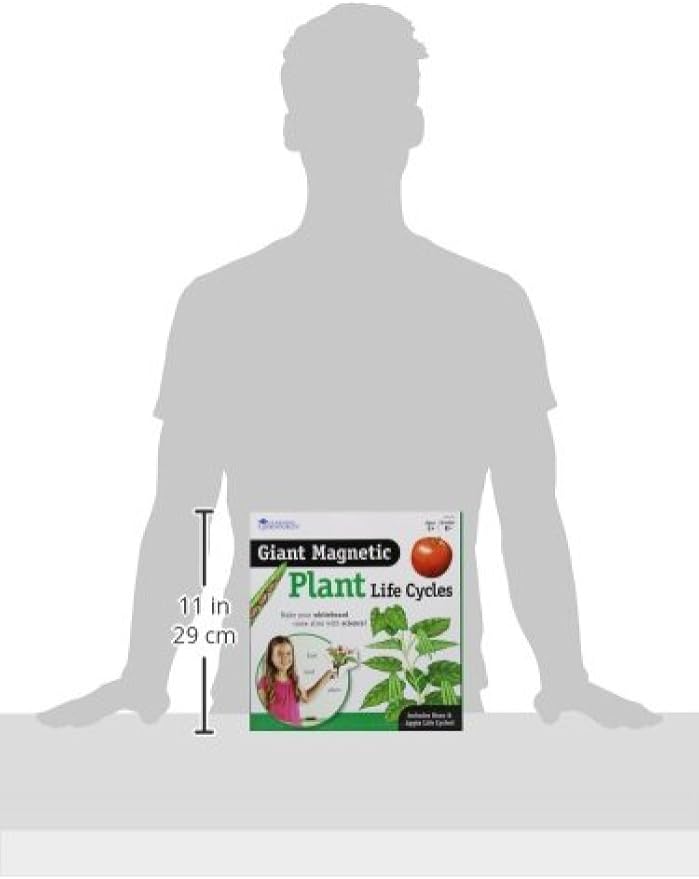 Learning Resources Giant Magnetic Plant Life Cycle - 12 Pieces, Science Exploration Activities for Kids, Homeschool and Classroom Science Supplies