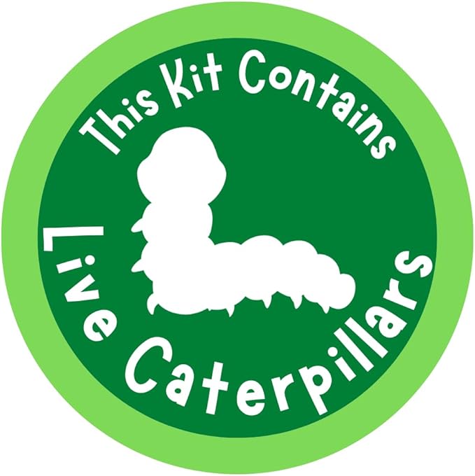 Insect Lore Cup of Caterpillars™ Basic - 8 Cups | 40 Live Baby Painted Lady Caterpillars | 5 Per Cup | Refill for Habitat Kit | Caterpillars and Food Included