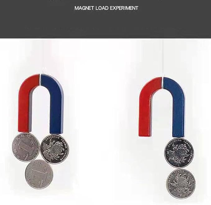 Labs Junior Physics Science Magnet Kit for Education Experiment Tool Magnets Toys Set for Kids School Classroom