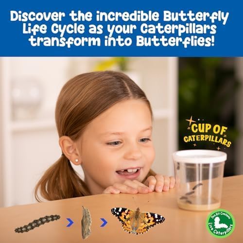 Insect Lore Cup of Caterpillars™ Basic | 5 Live Baby Painted Lady Caterpillars | Refill for Habitat Kit | Caterpillars and Food Included