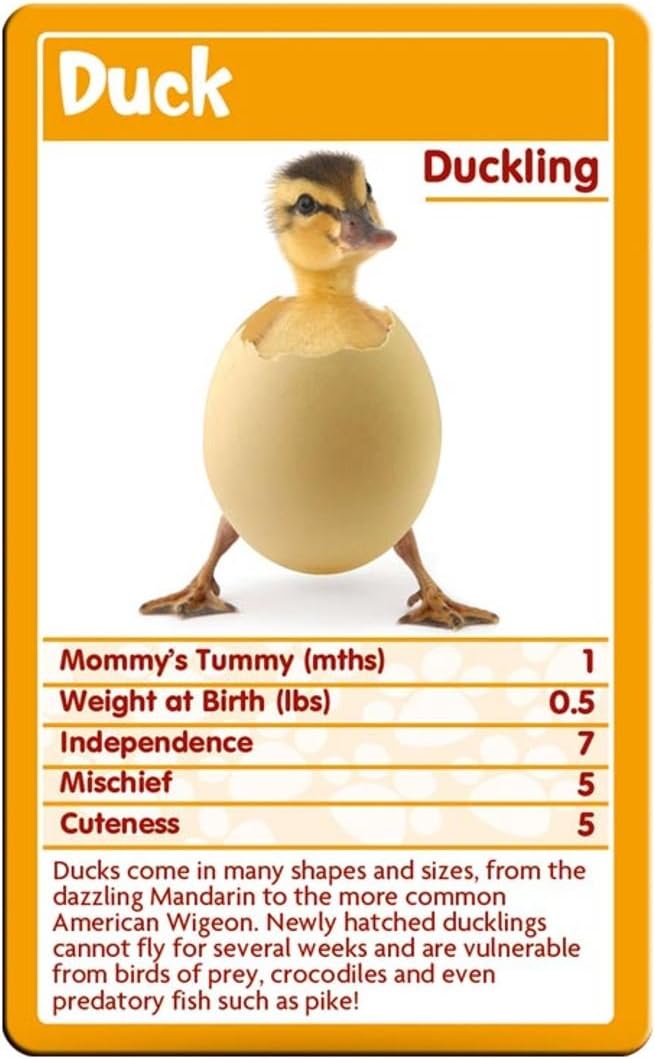 Baby Animals Top Trumps Card Game