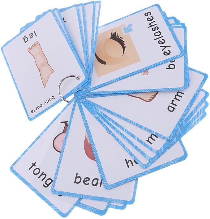 Set of(Body Parts+Illness) Flash Cards for Toddlers | Kids Learning Montessori Pocket Cards Toys | Perfect for Pre-K Decorations Background Wall Stickers,Teacher/Autism Therapists Tools