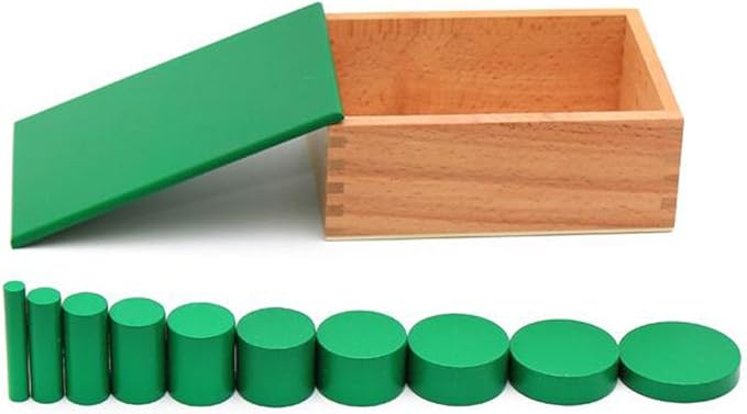 YHZAN Montessori Sensorial Material Knobless Cylinders Kids Wooden Toy (Set of 4) Early Development Tool for Toddlers Wooden Blocks