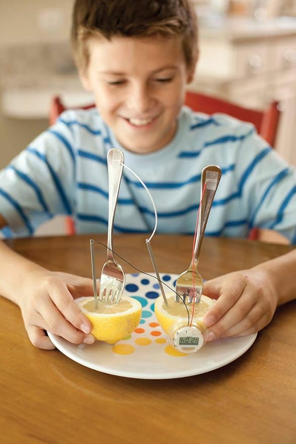 4M Kidzlabs Lemon Powered Clock, Chemical Electrical Science Lab Experiment - STEM Toys Educational Gift for Kids & Teens, Girls & Boys 12 Count (Pack of 1)