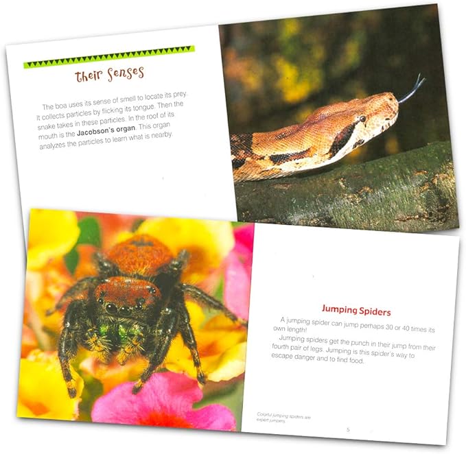 Know-It-All Educational Nature Books for Kids Toddlers -- Assorted Set of 9 Books About Wild Animals (Sharks, Spiders, Dinosaurs, Snakes, More)