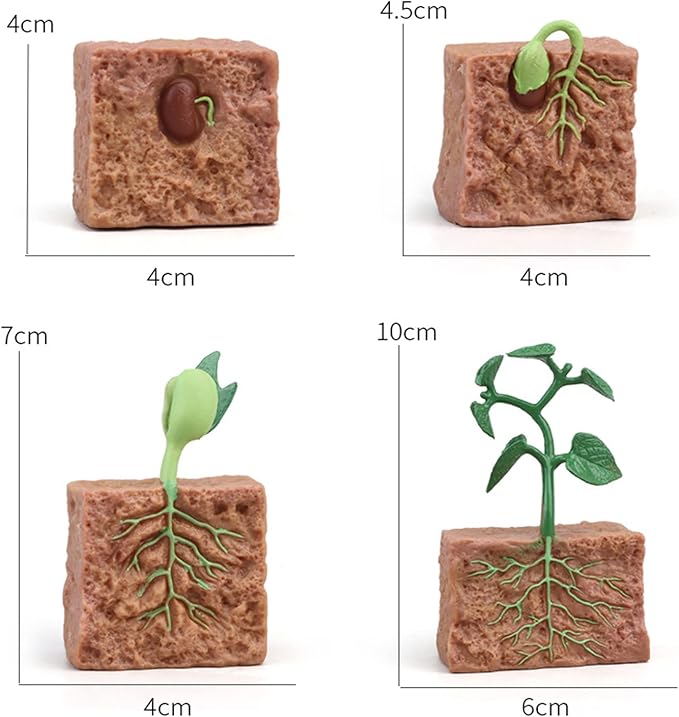 Montessori Animal Match Game Cards Marine Animal Matching Montessori Language Materials Toddlers Preschool Educational Learning Toys Language Materials Shape Sorting Toy