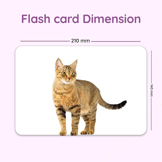 hungry brain Flash Cards for Toddlers, 24 Domestic Animals Flashcards, Double-Sided, Montessori, Educational, Kindergarten - Preschool Learning Activities, Gifts for Kids, 1, 2, 3, 4 Years Babies